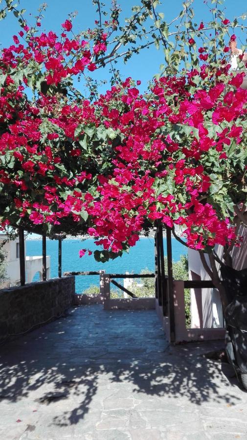 Calma Villa Perdika  Dış mekan fotoğraf